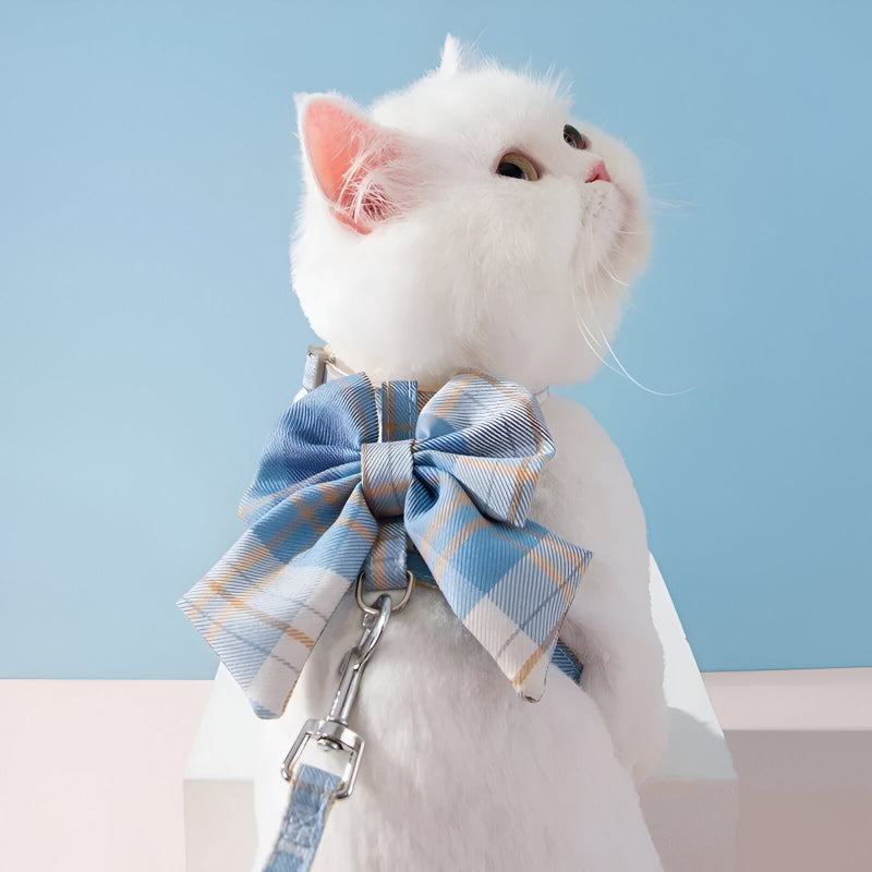 Cute Pet Harness with Bowknot and Traction Rope