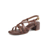 Color: Brown