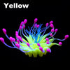 color: Yellow and Pink