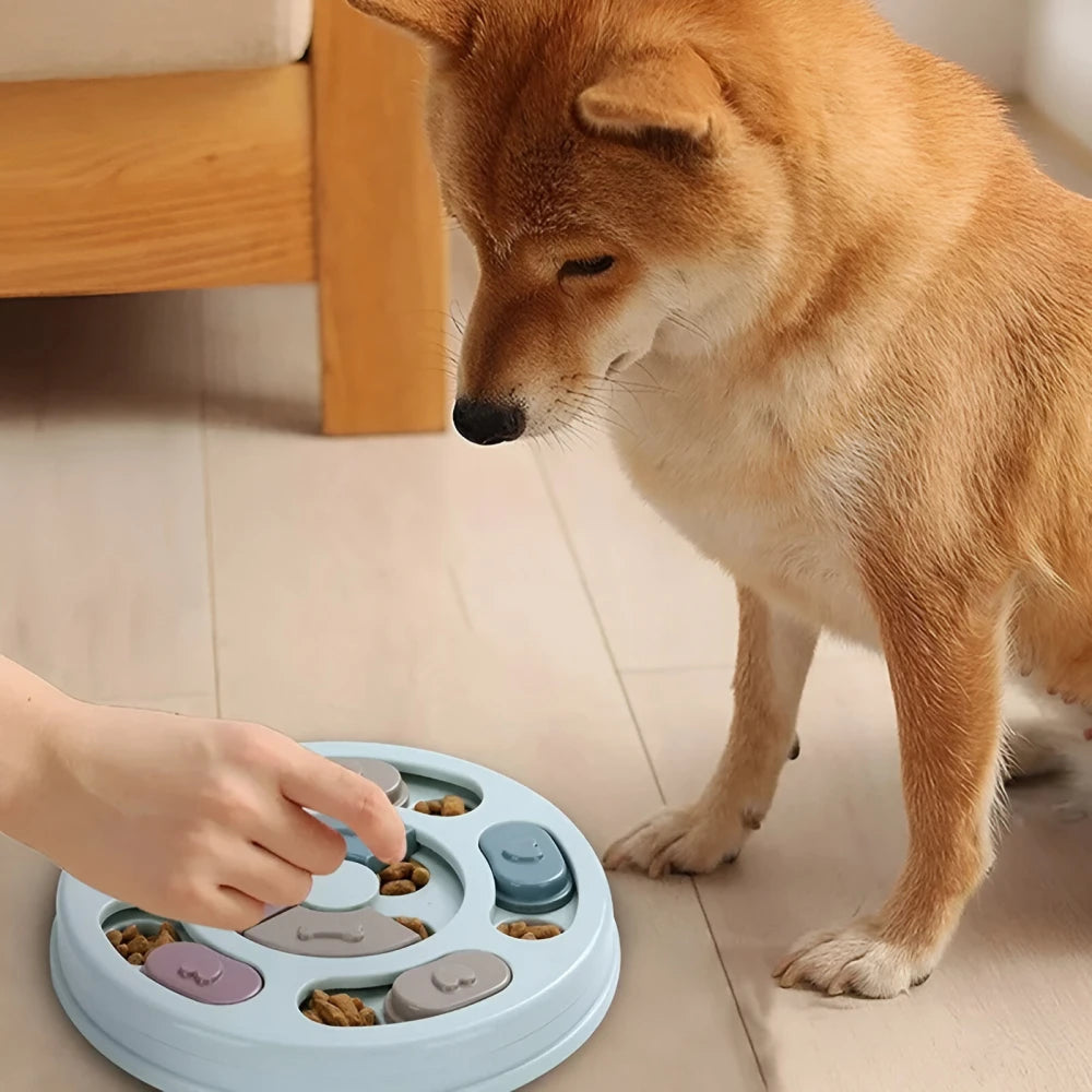 Interactive Dog Slow Feeder Bowl - Puzzle Toy