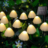 Emitting Color: Warm White