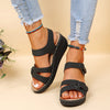 color: Black