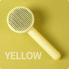 color: Yellow