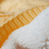color: Yellow