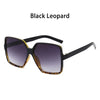 Lenses Color: Black Leopard