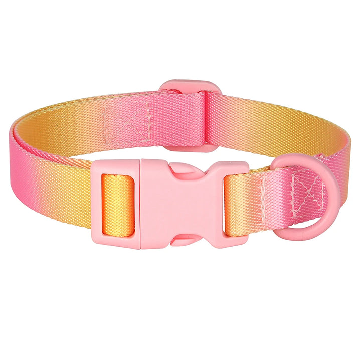 Colorful Printed Nylon Dog Collar