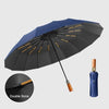 color: Dark Blue-32 Bone