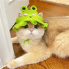 color: Frog