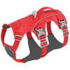 color: Red