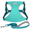 color: Blue