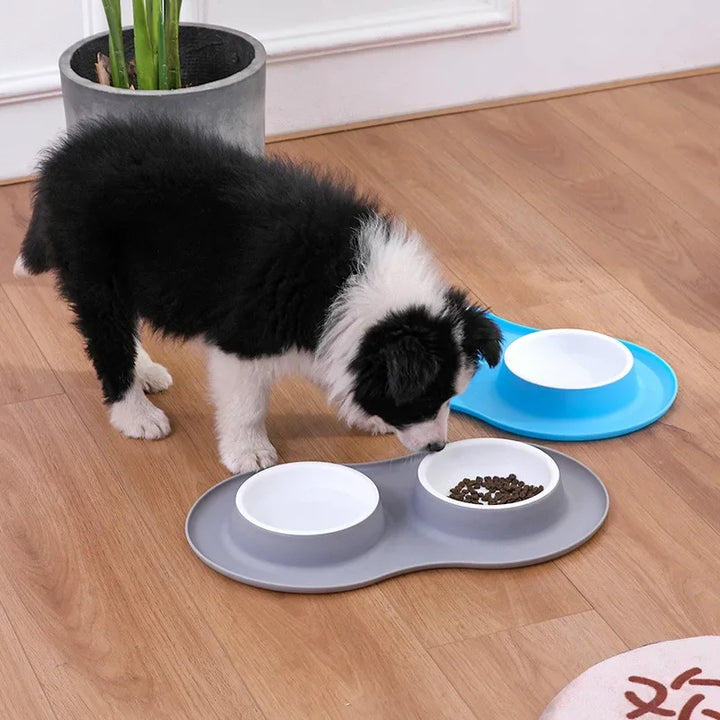 Anti-Splash Double Food Bowls for Large Dogs with Silicone Mat