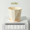 color: Ivory White