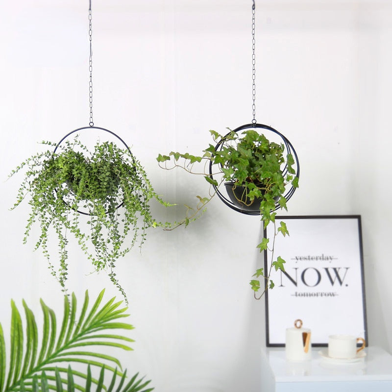 Decorative Iron Hanging Flower Pot - Swinging Wall Planter Basket for Home