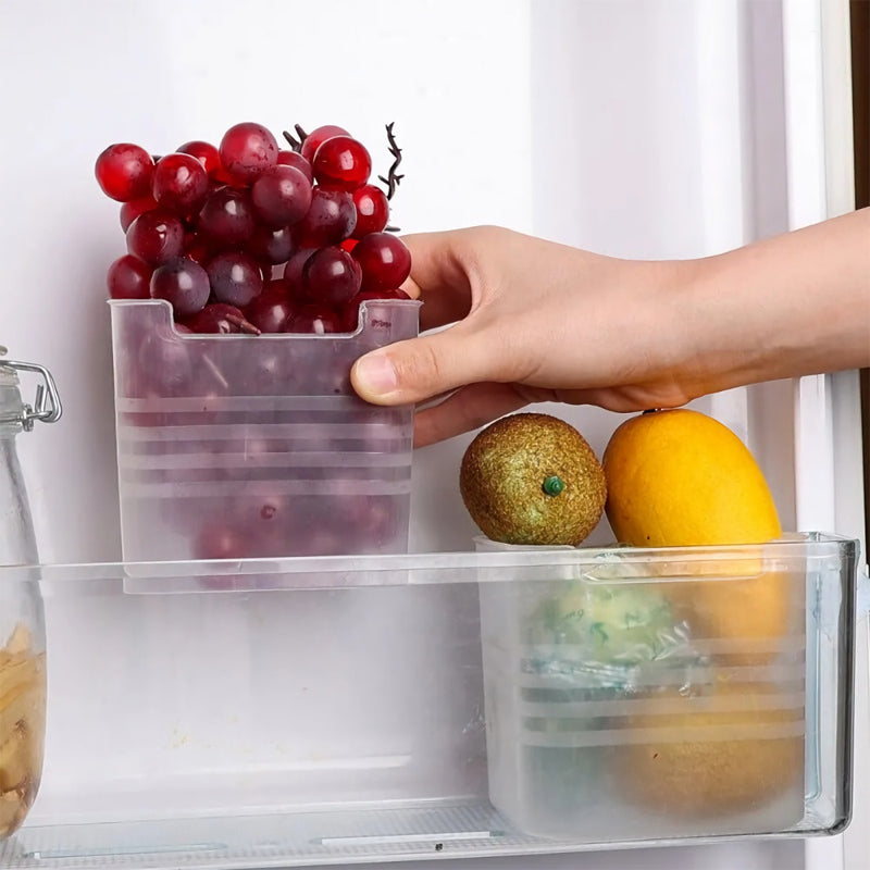 Food Storage Boxes Organizer