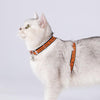 color: Orange