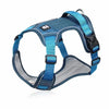 color: Blue