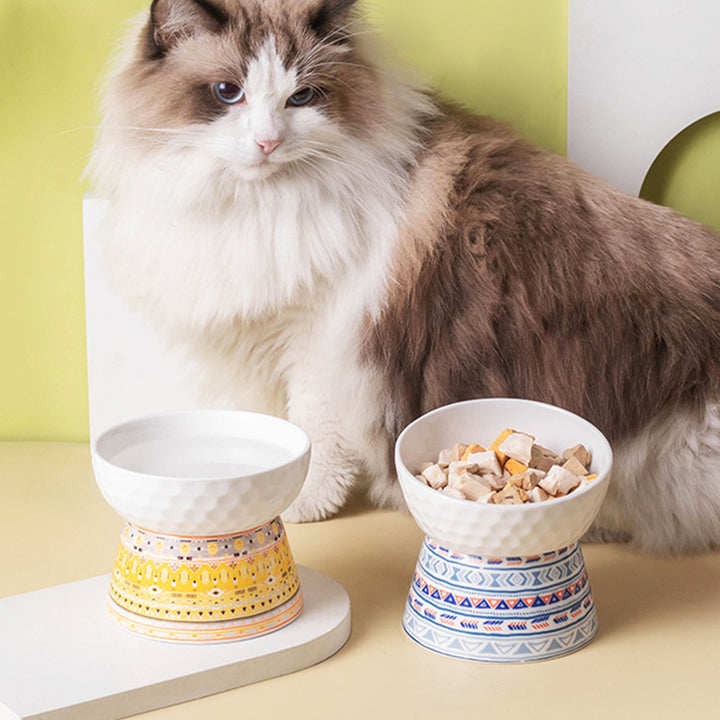 Elevated Ceramic Cat Bowl