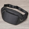 Color: Black Tabby
