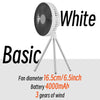 Set and Color: Basic White