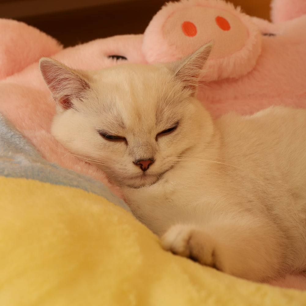 Pink Pig Shaped Cat Bed