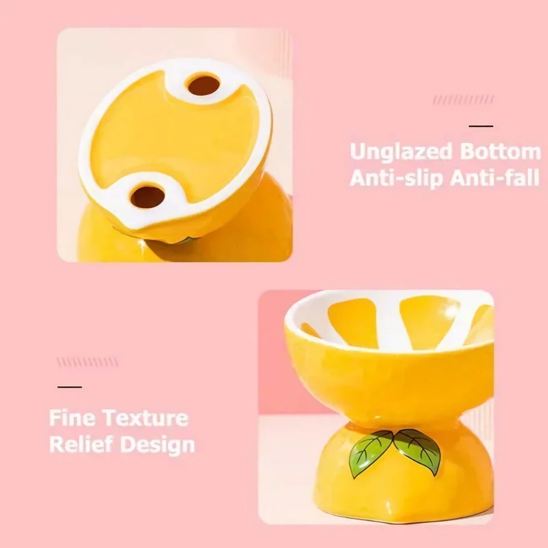 Fruit-Shaped Ceramic Pet Bowl