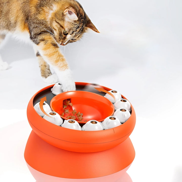 Slanted Cat Puzzle Bowl