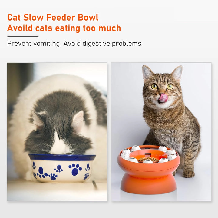 Slanted Cat Puzzle Bowl