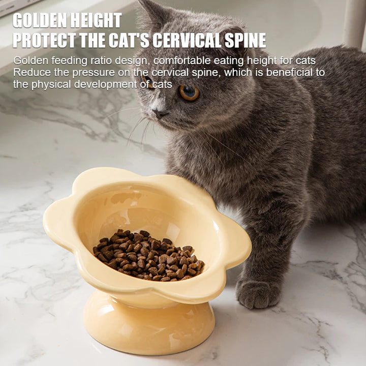 Raised Ceramic Cat Water Bowl