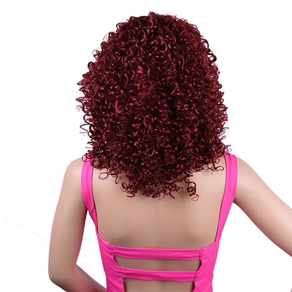 Synthetic Afro Curly Wig African Wigs For Black Women