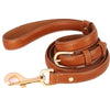 color: Brown