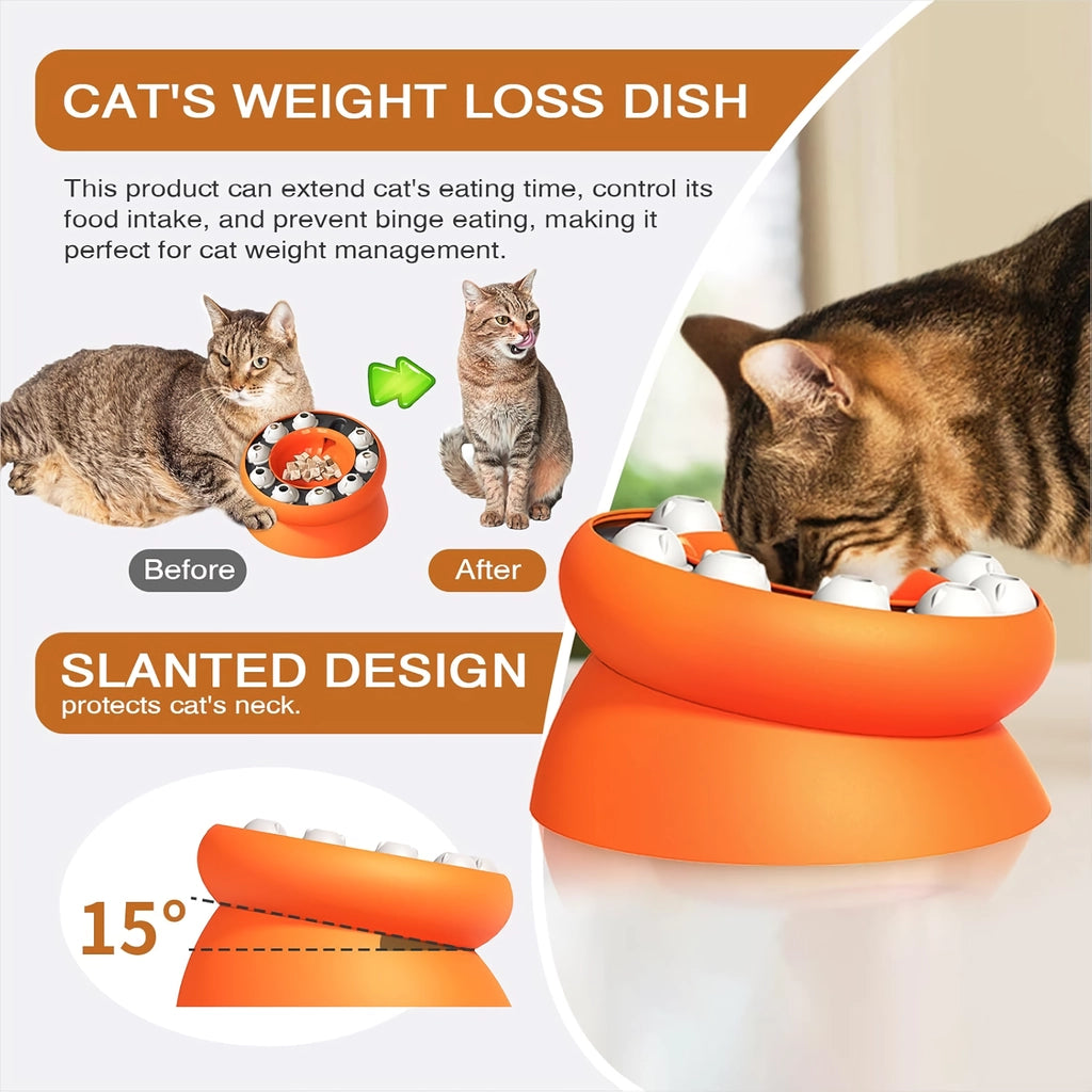 Slanted Cat Puzzle Bowl