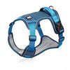 color: Blue