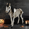 Color: Skull Horse