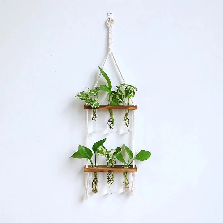 Elegant Wooden Hydroponic Wall Vase