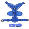 color: Blue