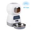 color: 01Type WiFi