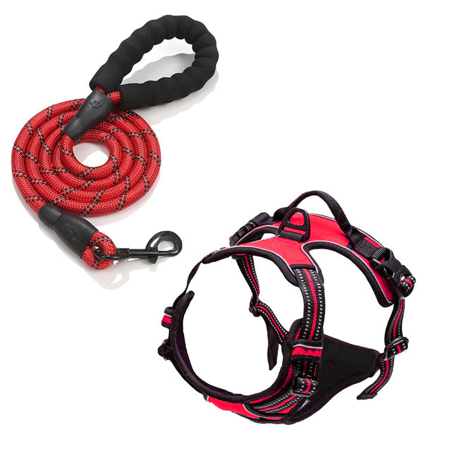 Reflective Adjustable Dog Harness and Leash Set