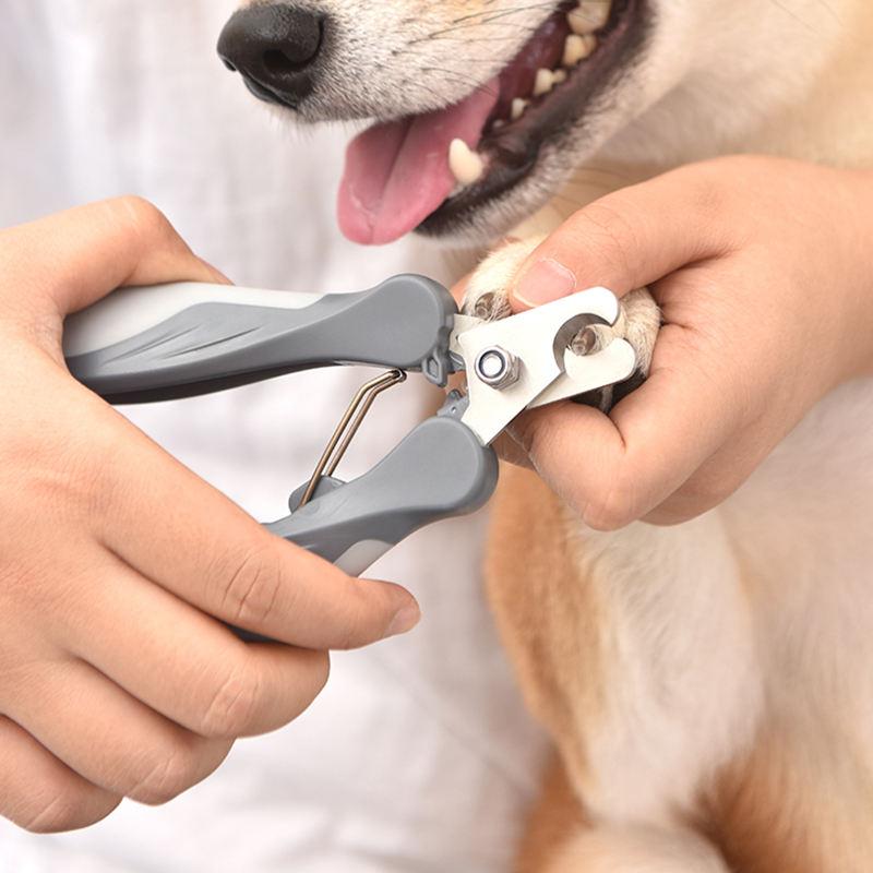 Stainless Steel Pet Nail Clippers & Grooming Scissors for Cats and Dogs