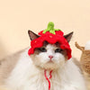 color: Strawberry