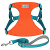 color: Orange