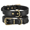 color: Black