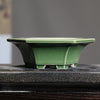 Color: Gracked Glaze Green