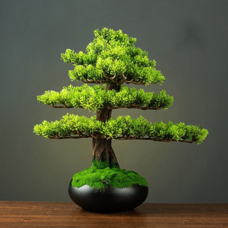 Artificial Bonsai Display Arrangement