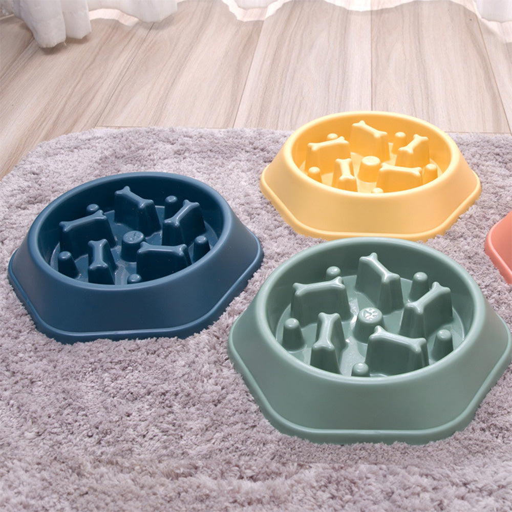 Slow Feeder Dog Bowl for Healthy Eating