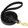 color: Black