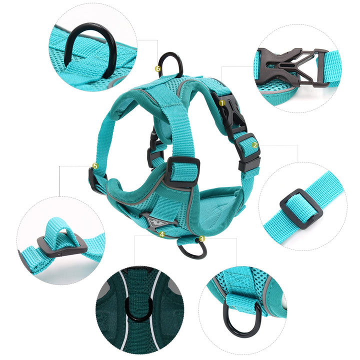 Adjustable Mesh Cat Harness and Leash Set