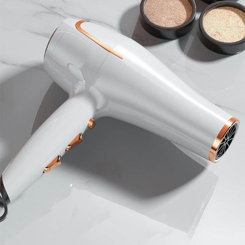 Professional Electric Hair Dryer