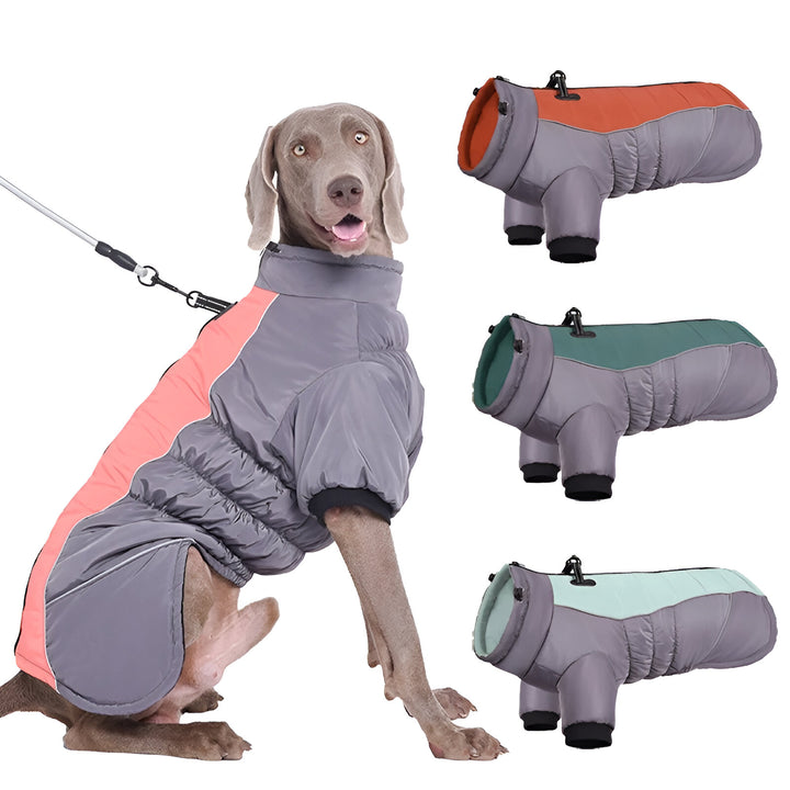 Waterproof Winter Down Jacket for Small and Medium Dogs