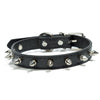 color: Black