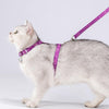 color: Purple